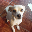Noe Nieto's avatar